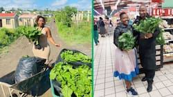 Eastern Cape female farmer beats unemployment, supplies fresh veggies to major retailer boxer