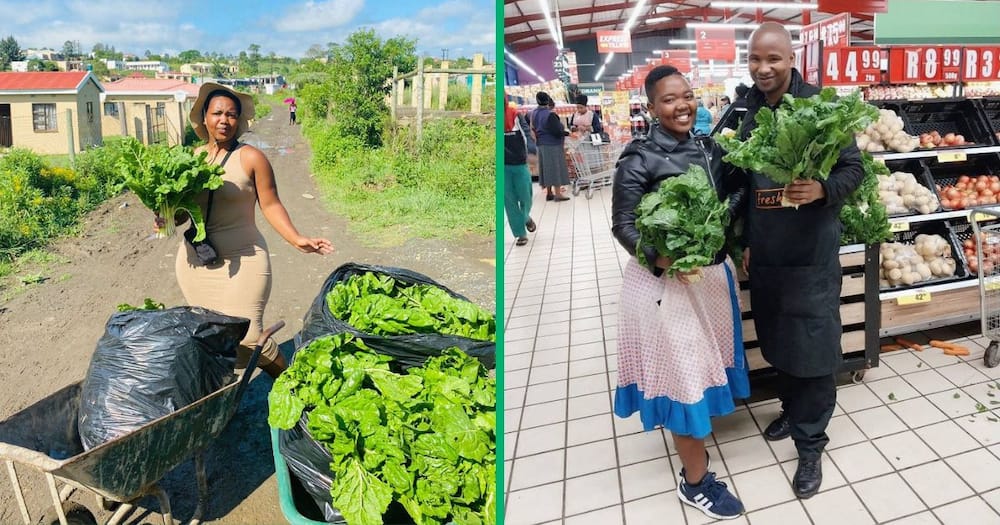 A 24-year-old South African woman Abo Yetse inspired many online after her story of becoming a successful young farmer went viral