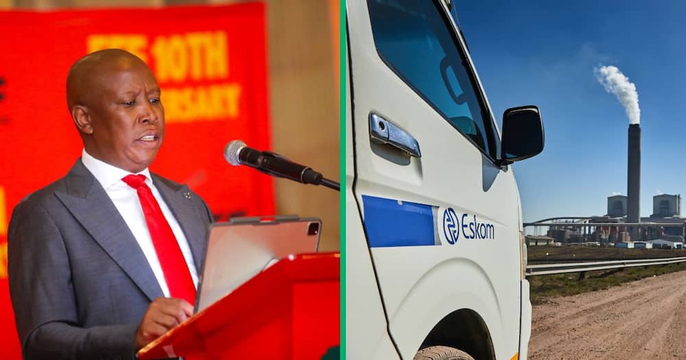 EFF leader Julius Malema claimed corruption at Eskom is worse than Gupta linked state capture