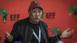 EFF wants Pravin Gordhan removed, calls for De Ruyter and Eskom board to be fired