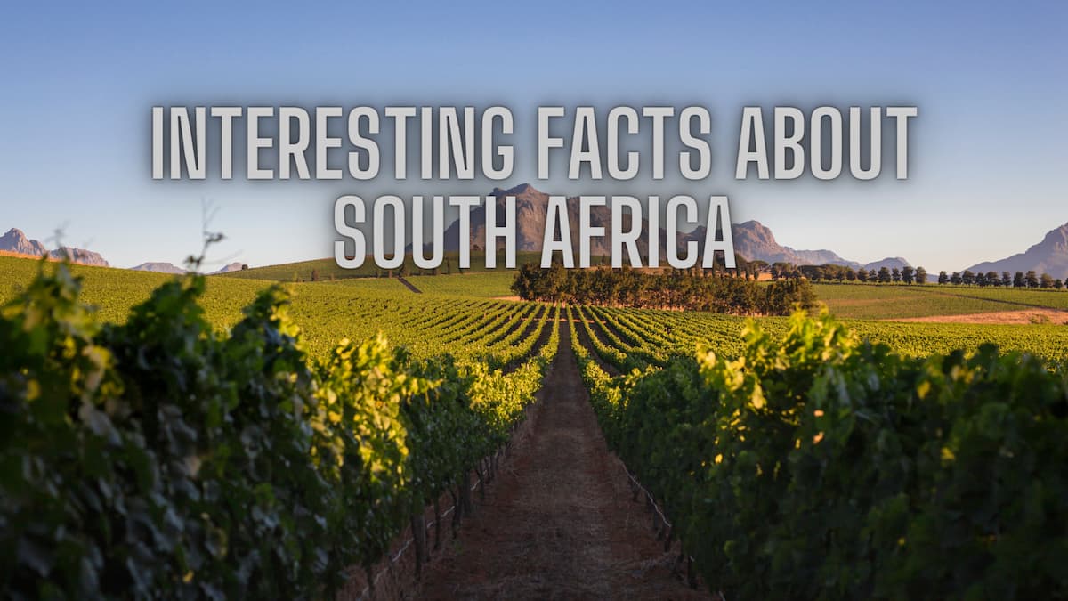 30 facts about South Africa: everything you need to know