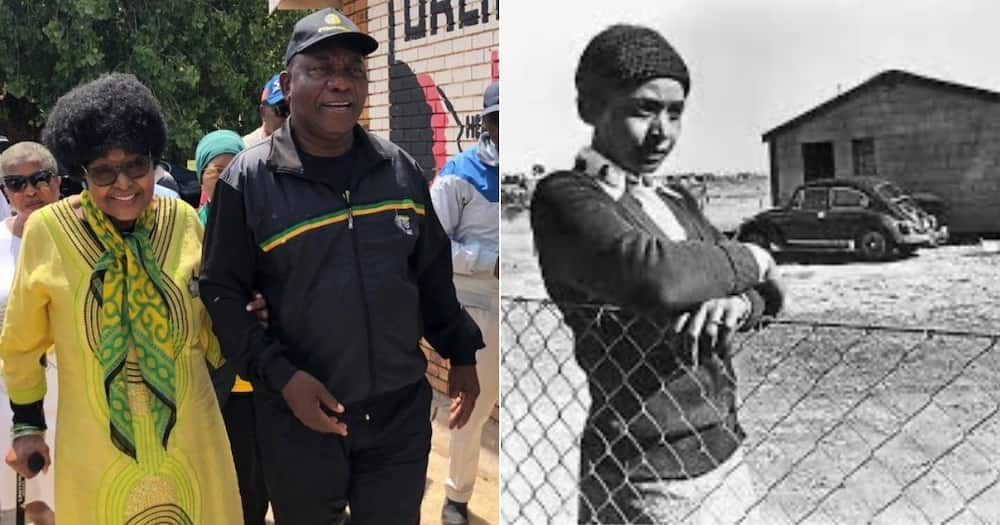 President, Cyril Ramaphosa, Honours, Late Ma Winnie, Birthday