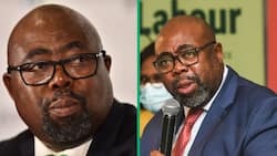 Employment and Labour Minister Thulas Nxesi allegedly embroiled in R500 million UIF bribe, Mzansi numb