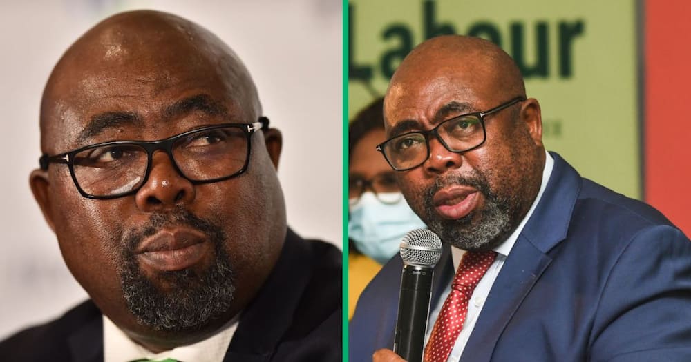 Thulas Nxesi, the Minister of Employment and Labour, was allegedly implicated in a R500 million UIF bribery scandal