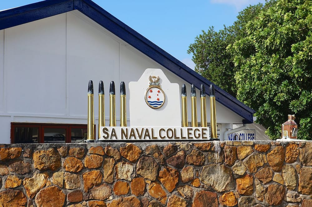 The South African Navy