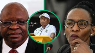 South Africans not impressed with Cyril Ramaphosa's Chief Justice nominee Mandisa Maya
