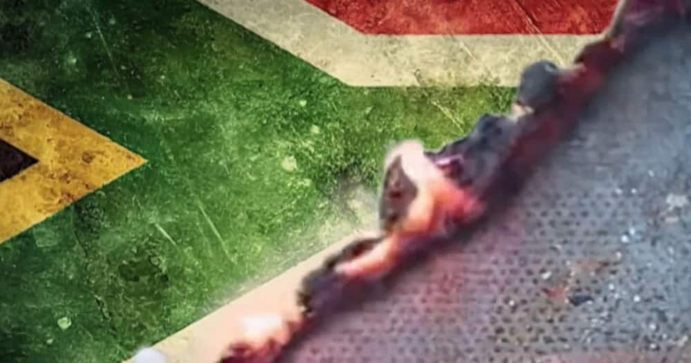 DA burns SA flag