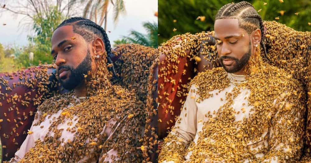 Big Sean covered with bees.