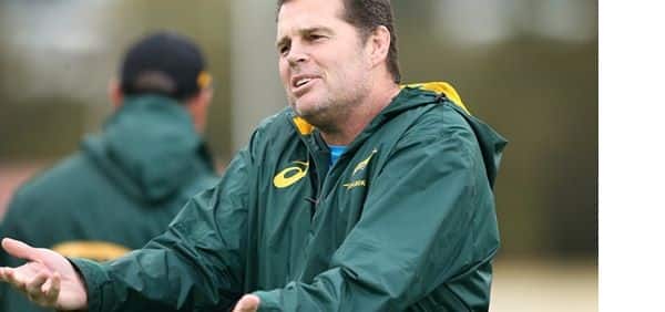 springbok coach