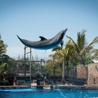 uShaka Marine World: latest fees, opening hours, animals, aquarium, photos