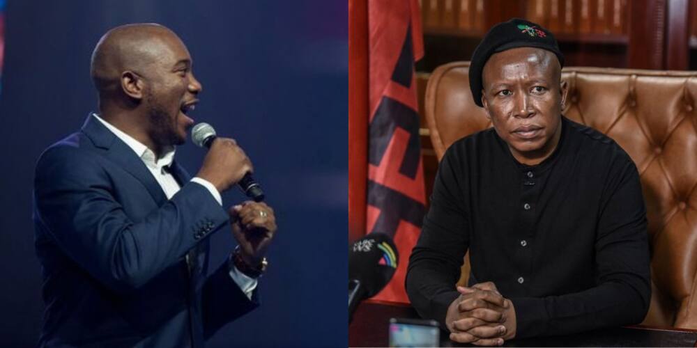 "Have Courage": Julius Malema and Mmusi Maimane Exchange Virtual Blows