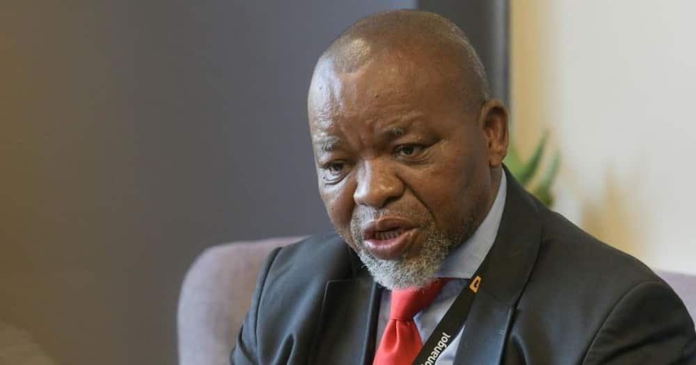 Gwede Mantashe. Minister of Mineral Resources and Energy, Gas Master Plan, Karoo, fracking, offshore gas, Shell survey