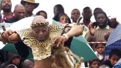 Duduzile Zuma-Sambubdla gushes over Jacob Zuma's Zulu song and dance in full traditional regalia, SA has jokes over video