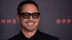 Robert Downey Jr's net worth: What did he earn from his top movies?