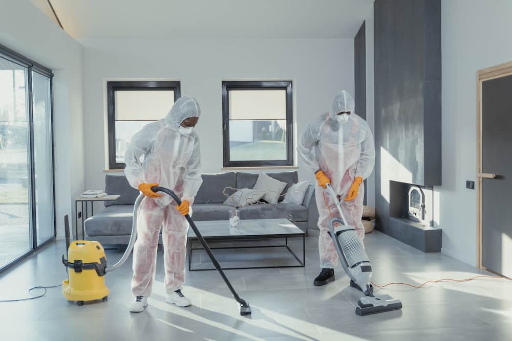 cleaning company in South Africa cleaning company in South Africa