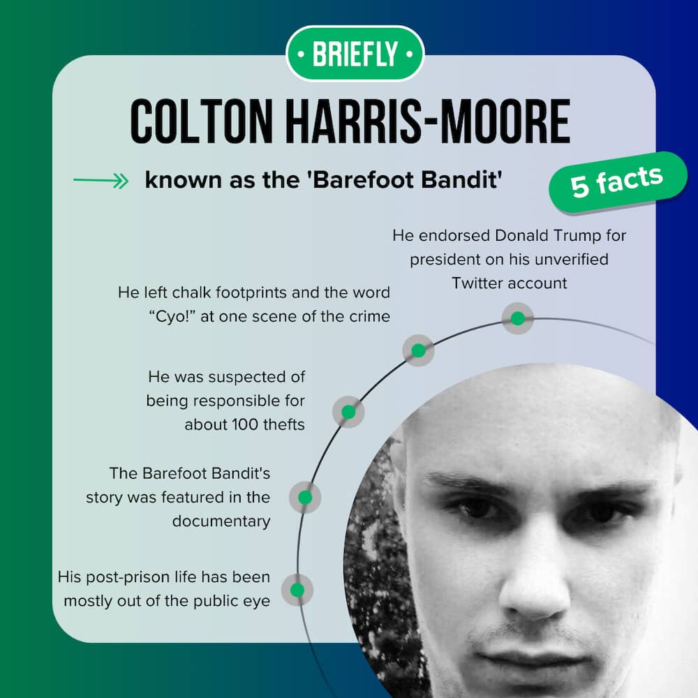 Colton Harris-Moore, known as the 'Barefoot Bandit'