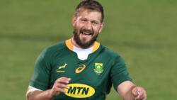 Frans Steyn shines and plays his heart out for the Springboks, treating each game with care