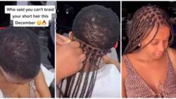 Mixed reactions as lady with very short hair gets braided hairstyle: "Must be very painful"