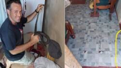 Snake rescuer Nick Evans saves family from unexpected visitor - a black mamba in the house