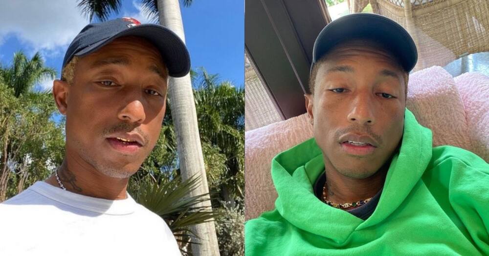 Pharrell Williams Launches Xhosa Sneaker Which Is Not Available for Sale in Sa