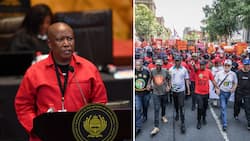 South Africans think Julius Malema is delusional as he claims he's in charge after national shutdown "success"