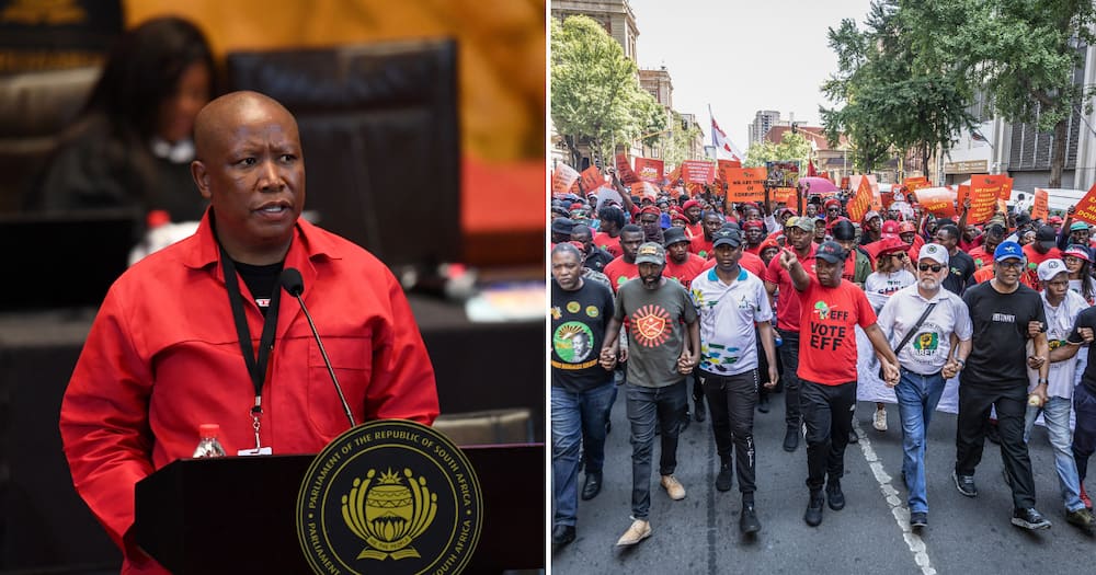 EFF leader Julius Malema claims victory over the government