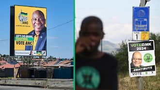 ANC wins by-elections in North West by 70%, MKP gets 1.4% of the votes