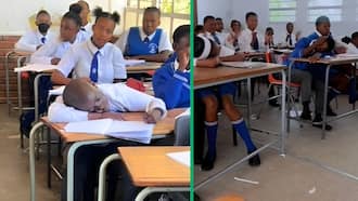 Students caught napping in class woken up by fake applause in TikTok video, SA amused