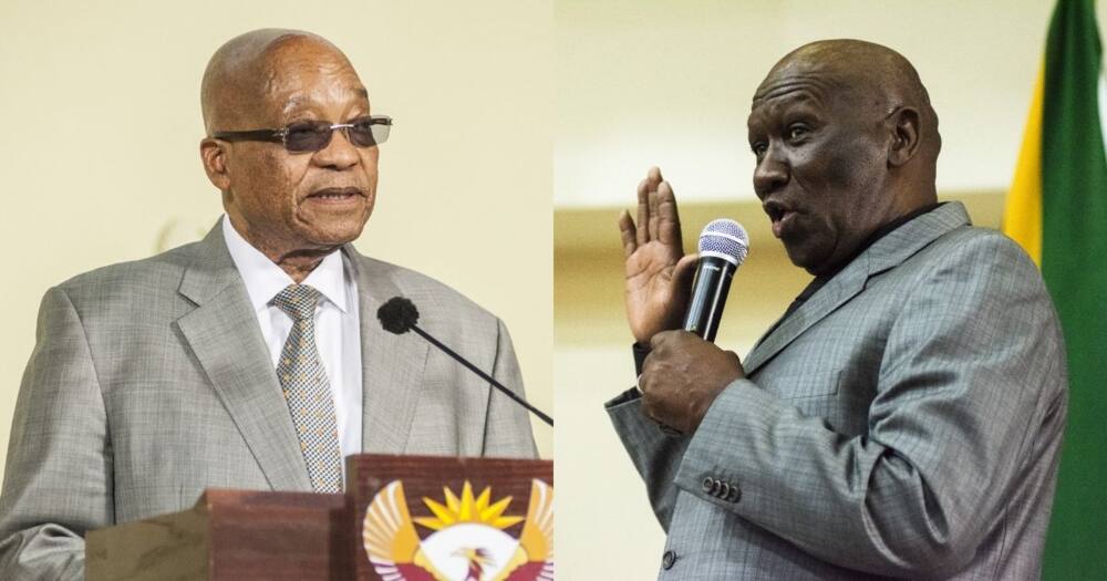 Bheki Cele, puts breaks on Jacob Zuma's arrest, until contempt challenge