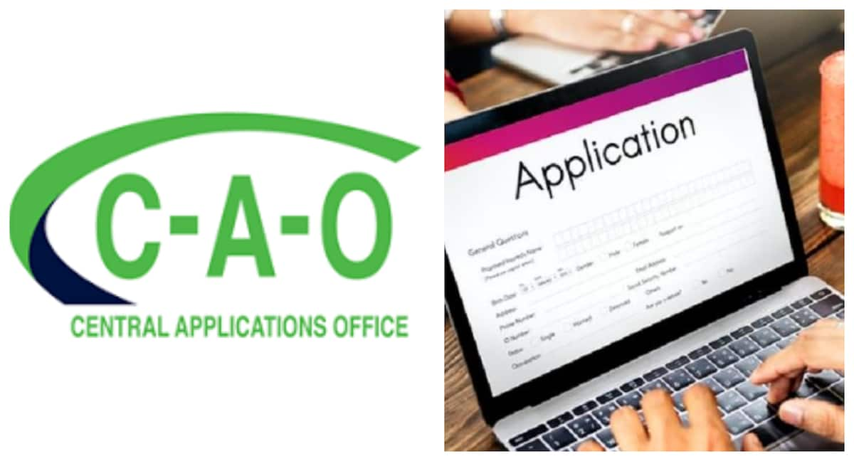 CAO online application process, dates, and requirements for 2022/2023