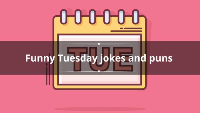 60+ funny Tuesday jokes and puns to get away from Monday blues