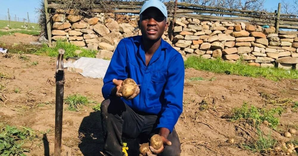 Farmer, Eastern Cape, South Africa