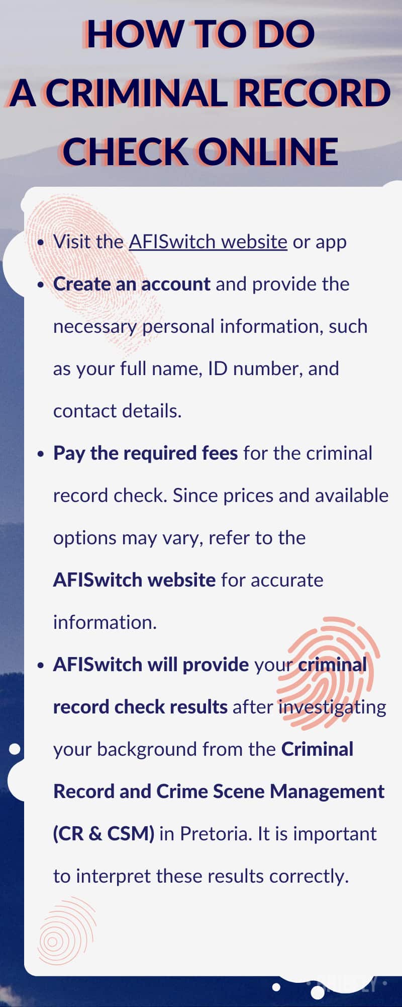 Criminal record check online in South Africa