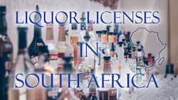 Liquor license in South Africa: forms, cost, application, renewal