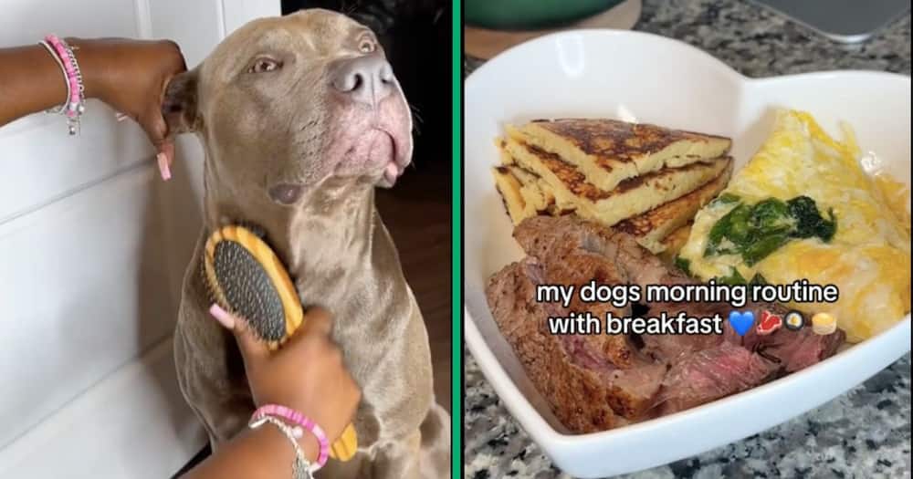 A woman pamper her dog with gourmet food and coconut oil