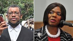 Thuli Madonsela fires back at Advocate Dali Mpofu after repeating insults during Mkhwebane’s impeachment trial