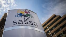 SASSA says it won't be processing any new R350 social relief of distress grant applications right now