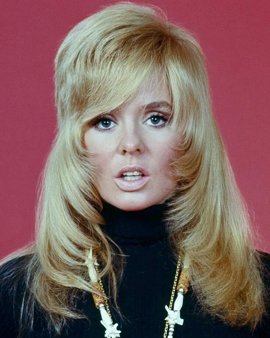 What does Joey Heatherton today look like: Full biography