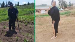 From shop assistant to entrepreneur: Veggie farmer shares beautiful 2024 goals