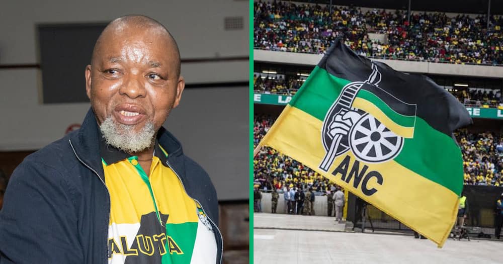 The ANC has issued a statement that excludes Gwede Mantashe from the IEC ROC