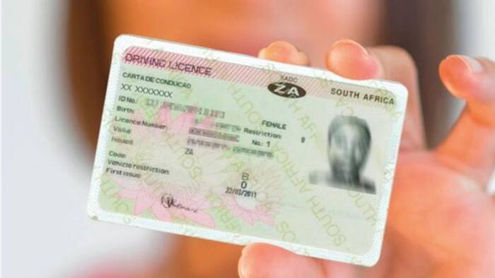Driver license codes in SA explained: comprehensive guide and meaning