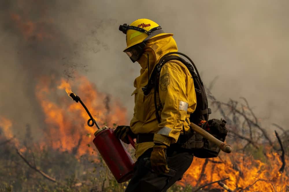A firefighter uses a drip torch to light a backfire at the Oak Fire near Mariposa, California