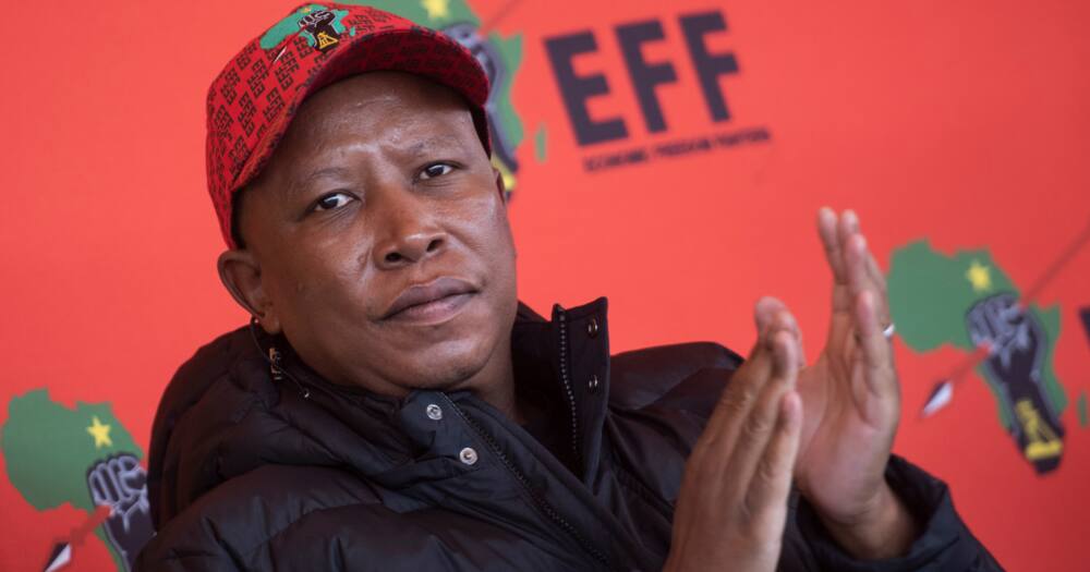 EFF, election results, Julius Malema, coalition