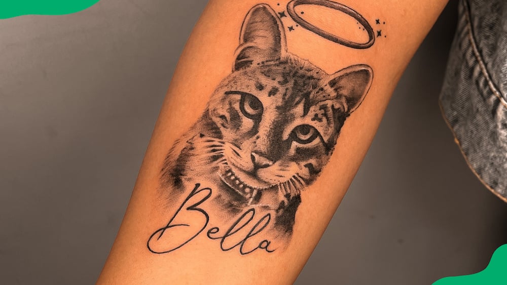 Cat name tattoo
