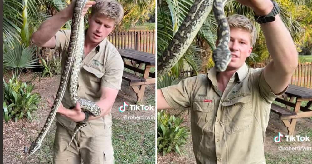 Australian snake catcher Robert Irwin rescues local from carpet python, netizens not surprised