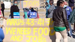 "This is a horror story": Mzansi dismayed by latest unemployment rate, over 12 million people are now jobless