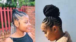 50+ best straight up hairstyles with braids - pictures for 2022