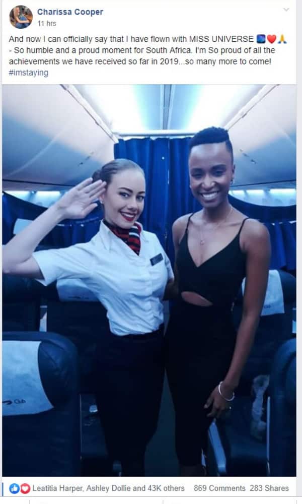 Flight attendant gushes after meeting new Miss Universe Zozibini Tunzi
