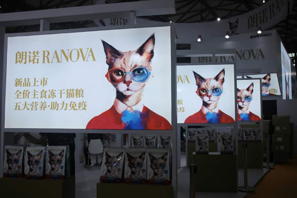 Posters for cat food are seen at Pet Fair Asia in Shanghai