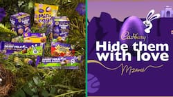 Cadbury is back with another fun-filled Easter adventure for Mzansi